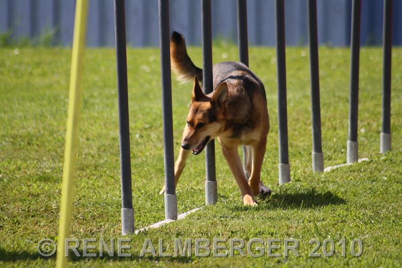 Bild 367.jpg